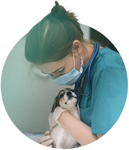 Dentista abraçando cachorro